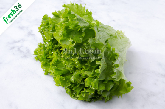Kıvırcık Salata (Pestisit Analizli) - 2n14 Genetiği Korunmuş Lezzetler