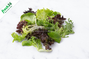 Karışık Taze Salata Yeşilliği