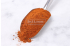 Kajun Baharat Karışımı