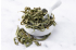 Stevia Otu (Şeker Otu)